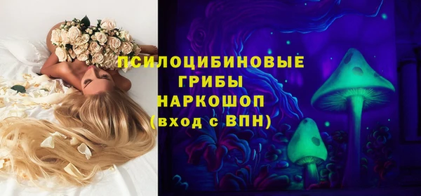 PSILOCYBIN Навашино